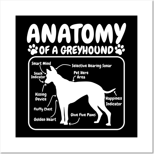 Greyhound Dog Anatomy Wall Art by CreativeGiftShop